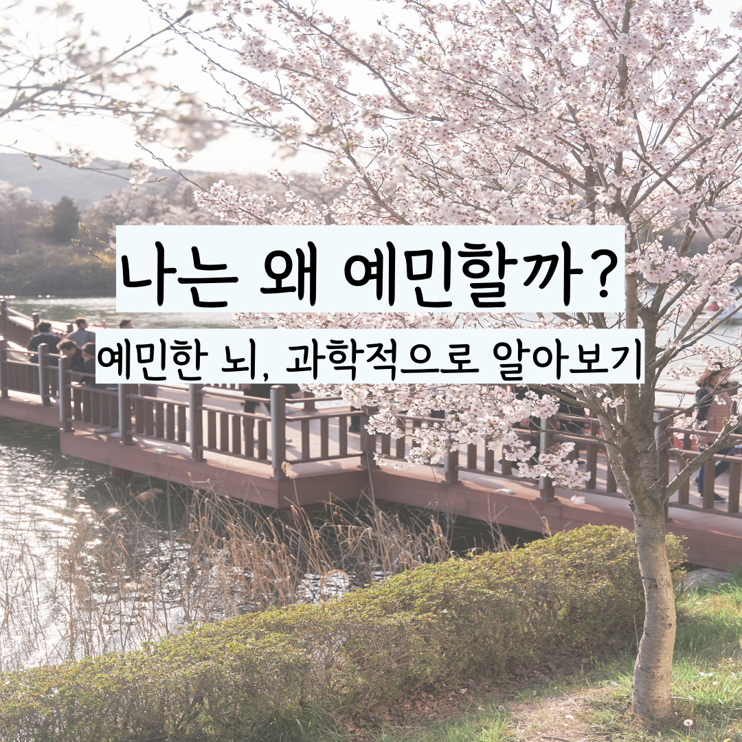 예민한 사람