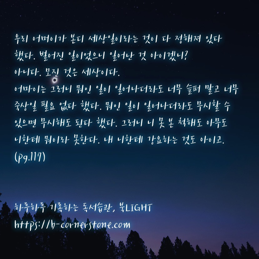 천선란 나인