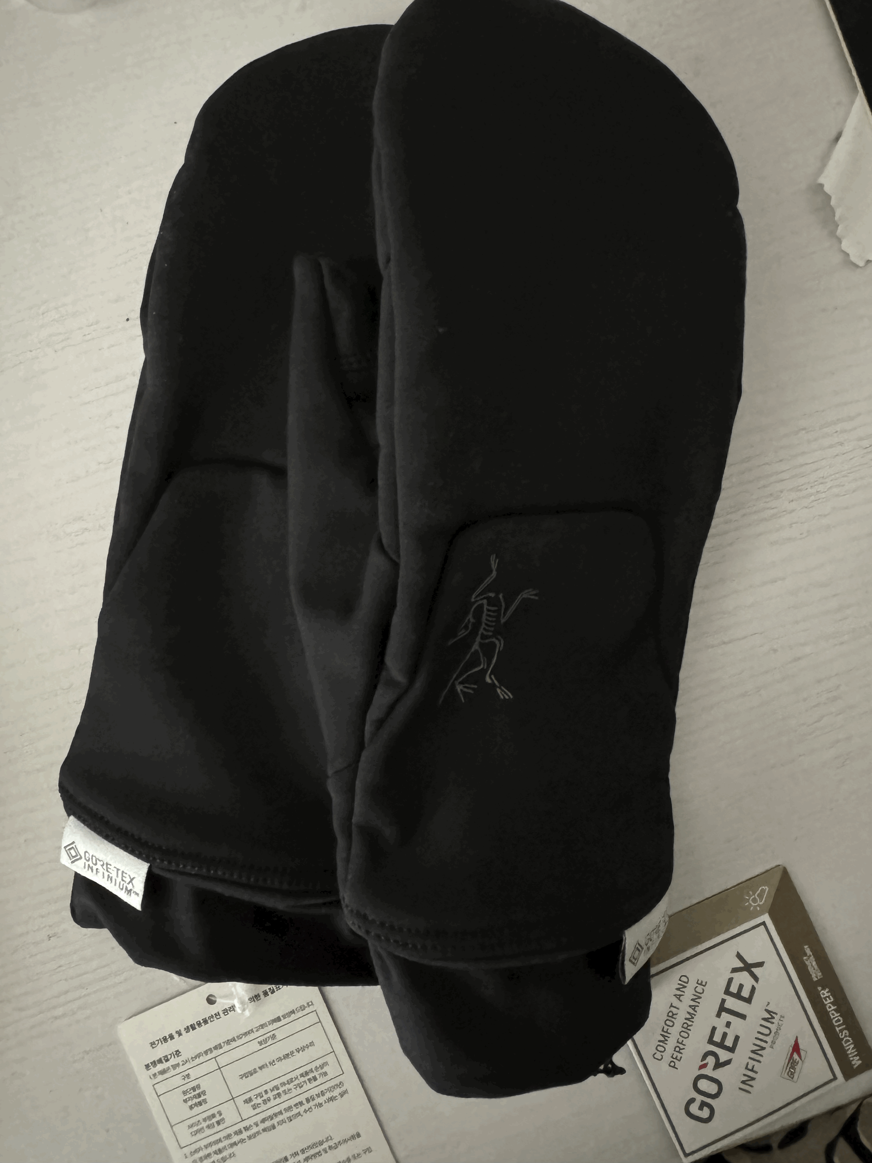 겨울 장갑은 아크테릭스(ARCTERYX) 벙어리지