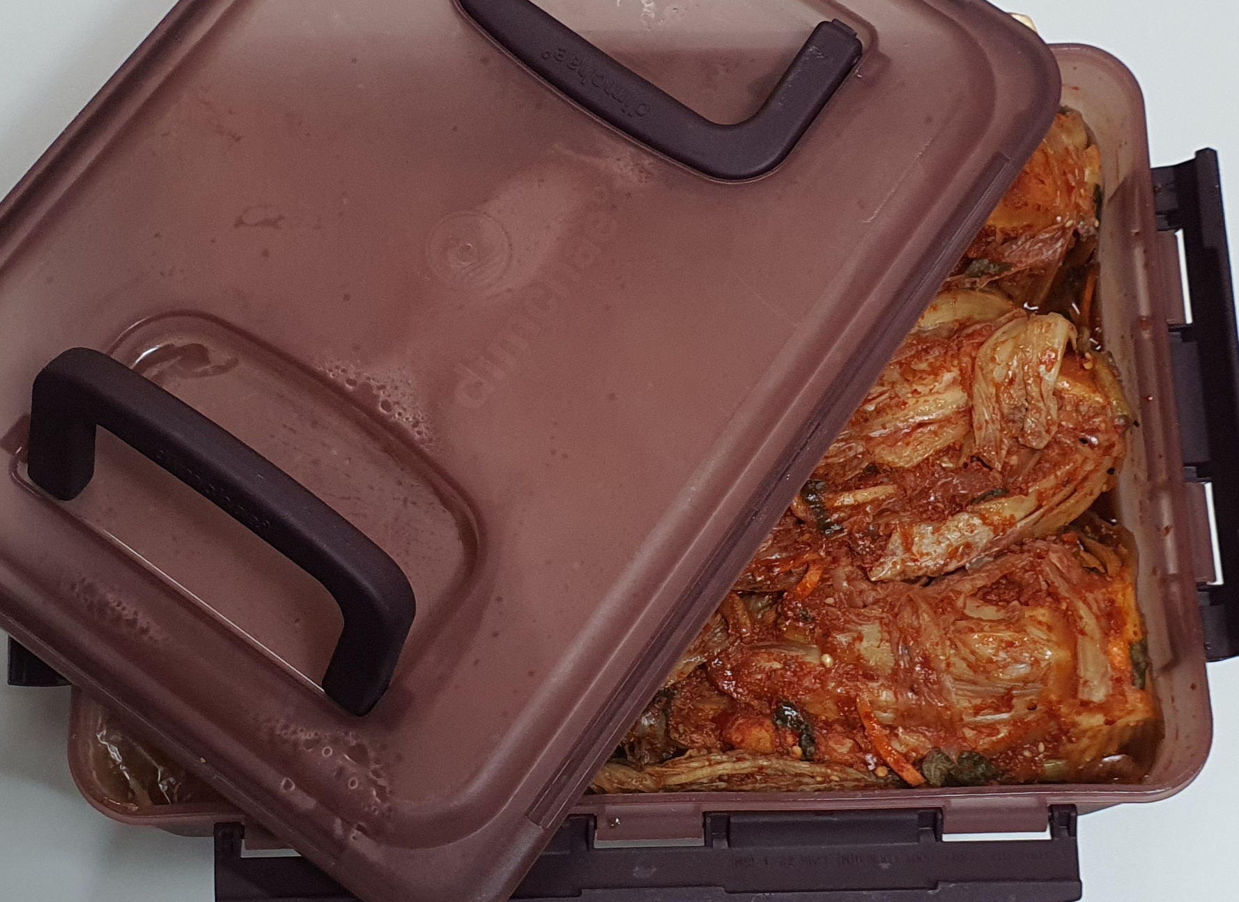 김치통 김치냄새