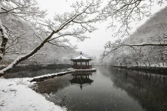 내장산 단풍터널 드라이브 코스 주차장 위치까지 총정리_18