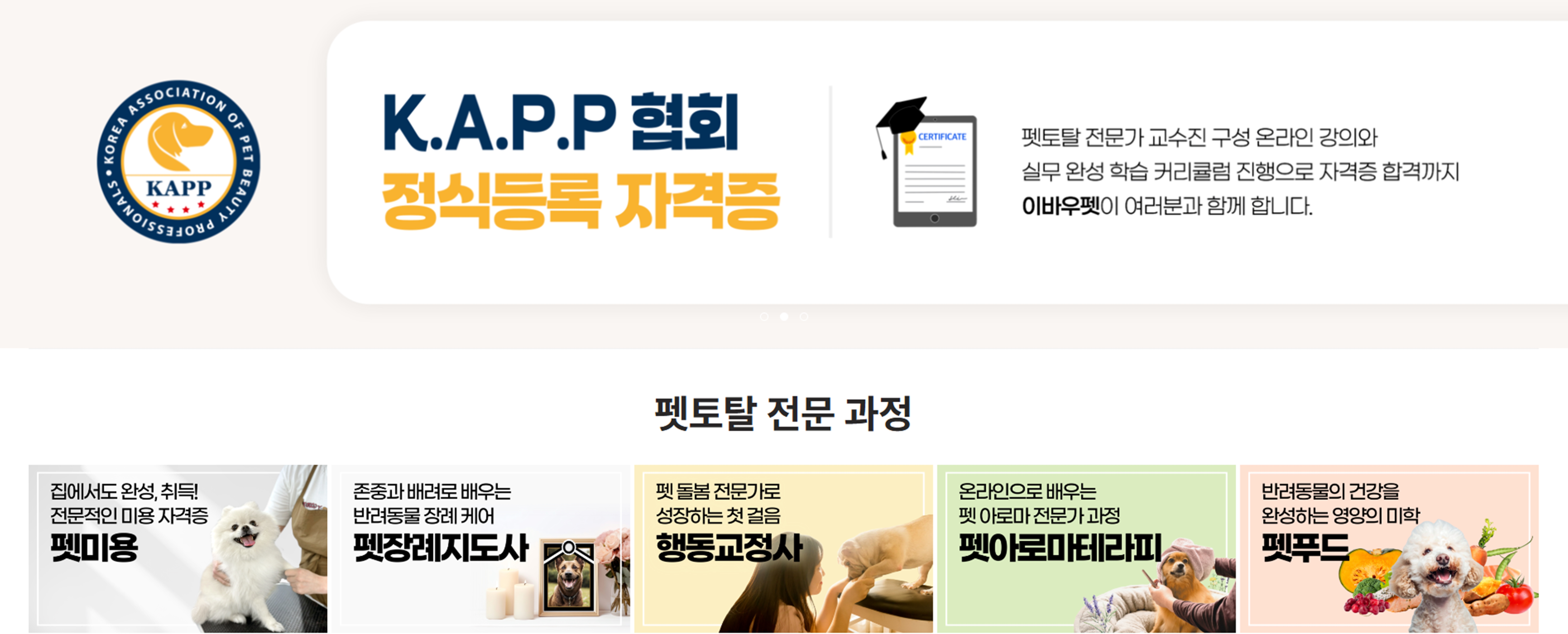 일산강아지미용학원