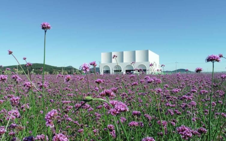 태안 가볼만한곳 베스트 10