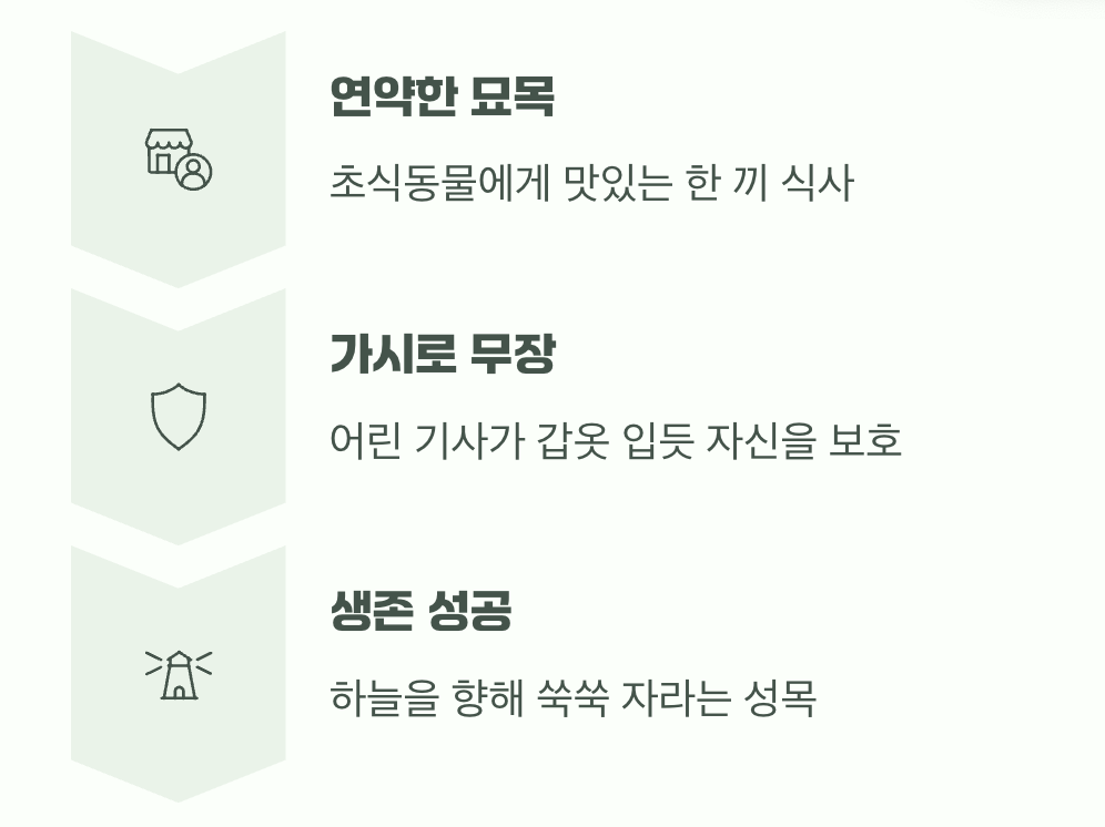 어린 시절의 갑옷