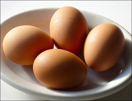 비타민d 많은 음식 7