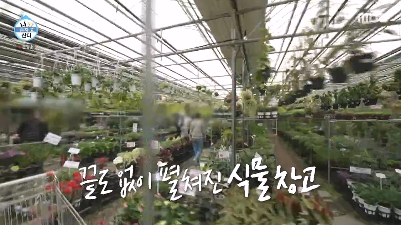 조인폴리아 영업시간 위치 주차