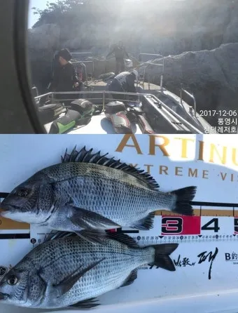 디낚 점주조황 인낚 부낚 어부지리 바다낚시_12