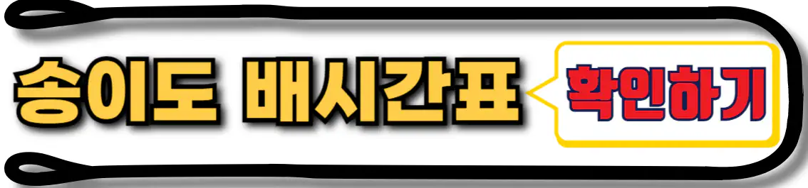송이도 배시간표 확인