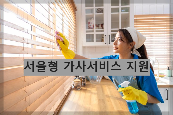 서울형 가사서비스 지원