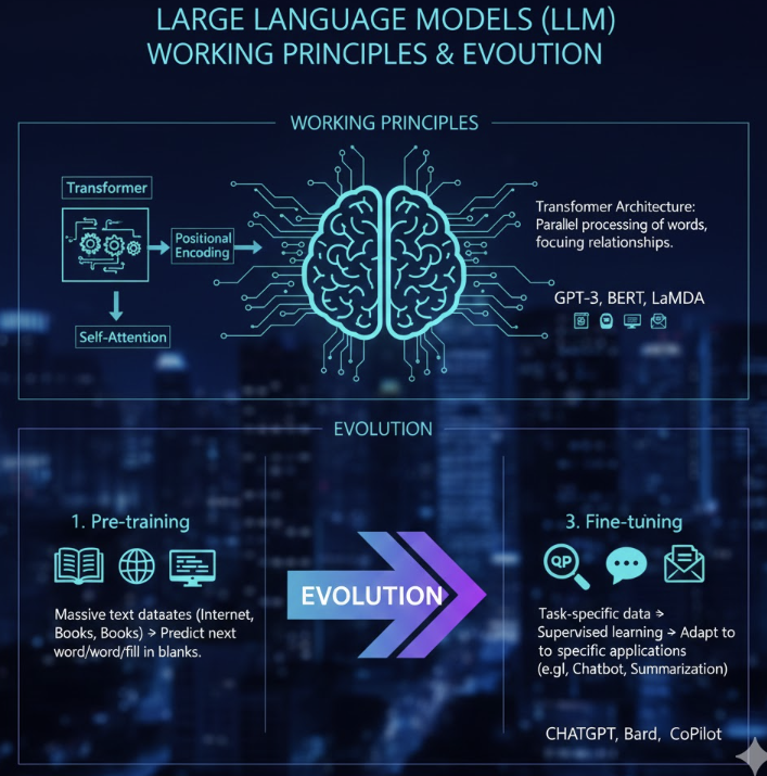 Transformer 아키텍처를 중심으로 한 대형 언어 모델(LLM)의 작동 원리와 방대한 데이터로 사전 학습하고 특정 작업에 맞춰 미세 조정하는 진화 과정을 시각적으로 나타낸 인포그래픽