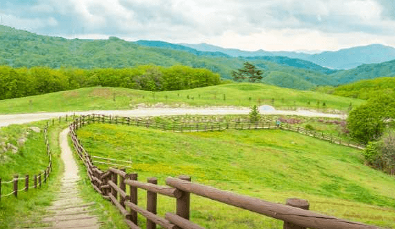 8월 국내 여행지 추천