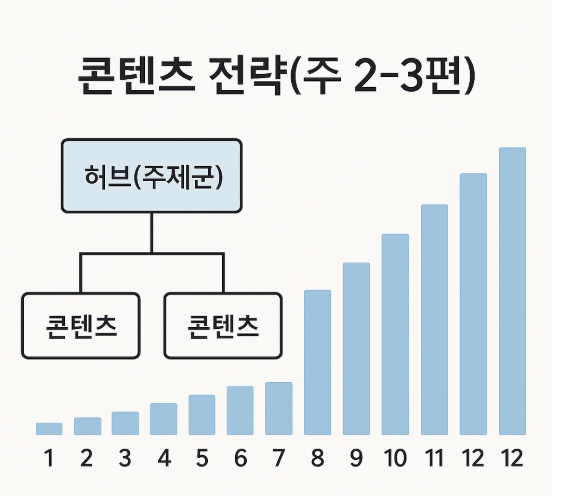 콘텐츠 전략 ,주 2-3편