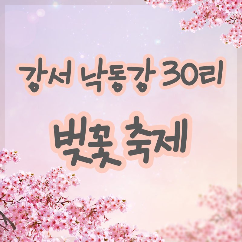 부산 강서구 벚꽃 축제