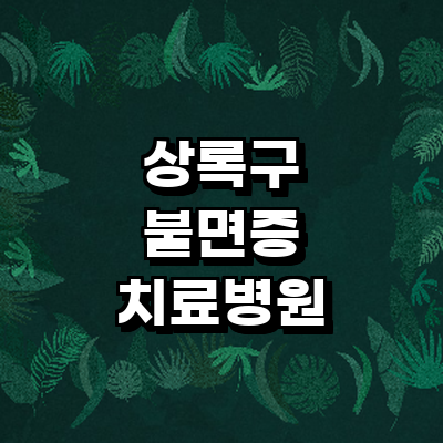 안산 상록구 불면증