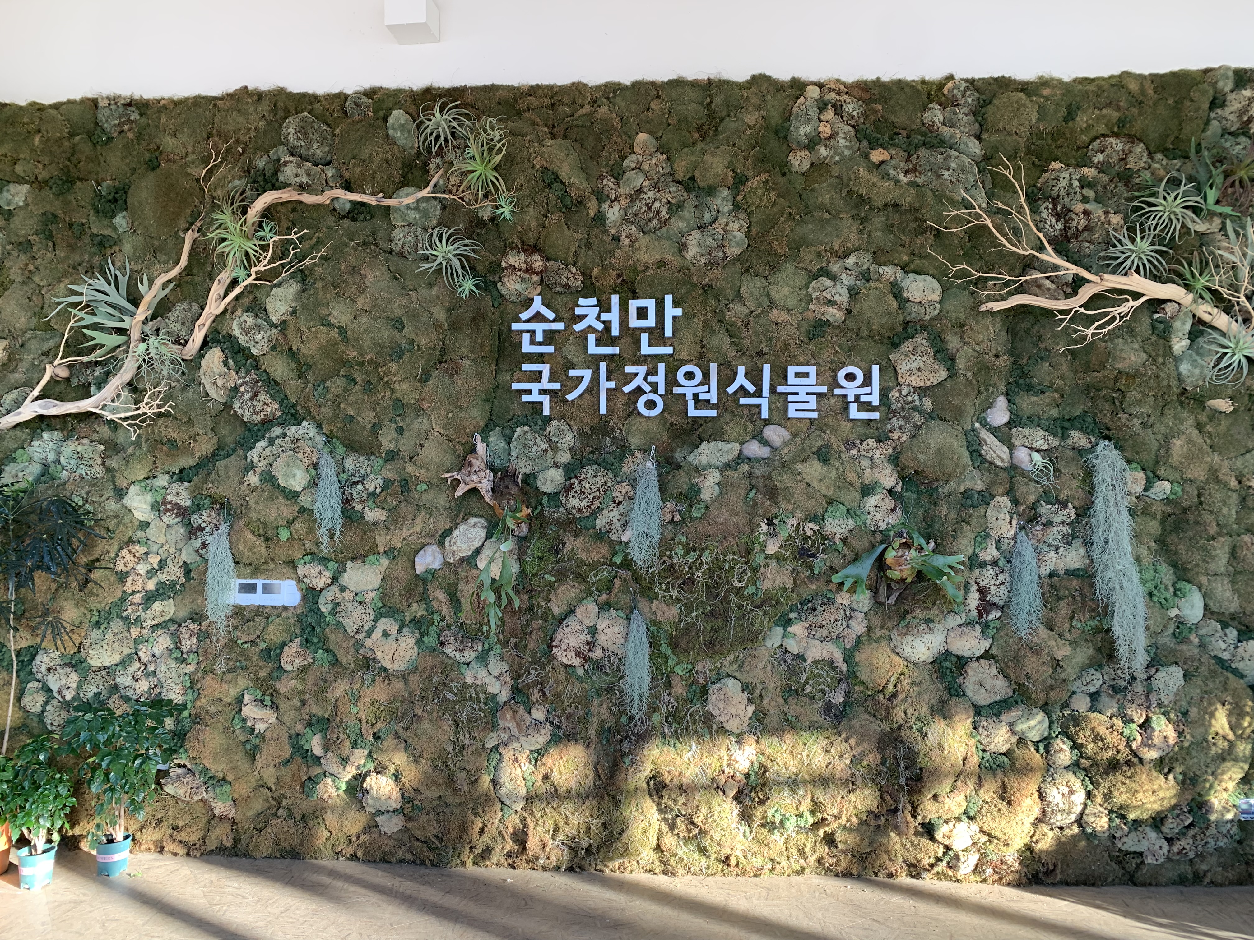 순천만국가정원 계절별 관람 꿀팁 완벽 정리