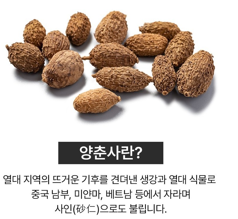 양승차란