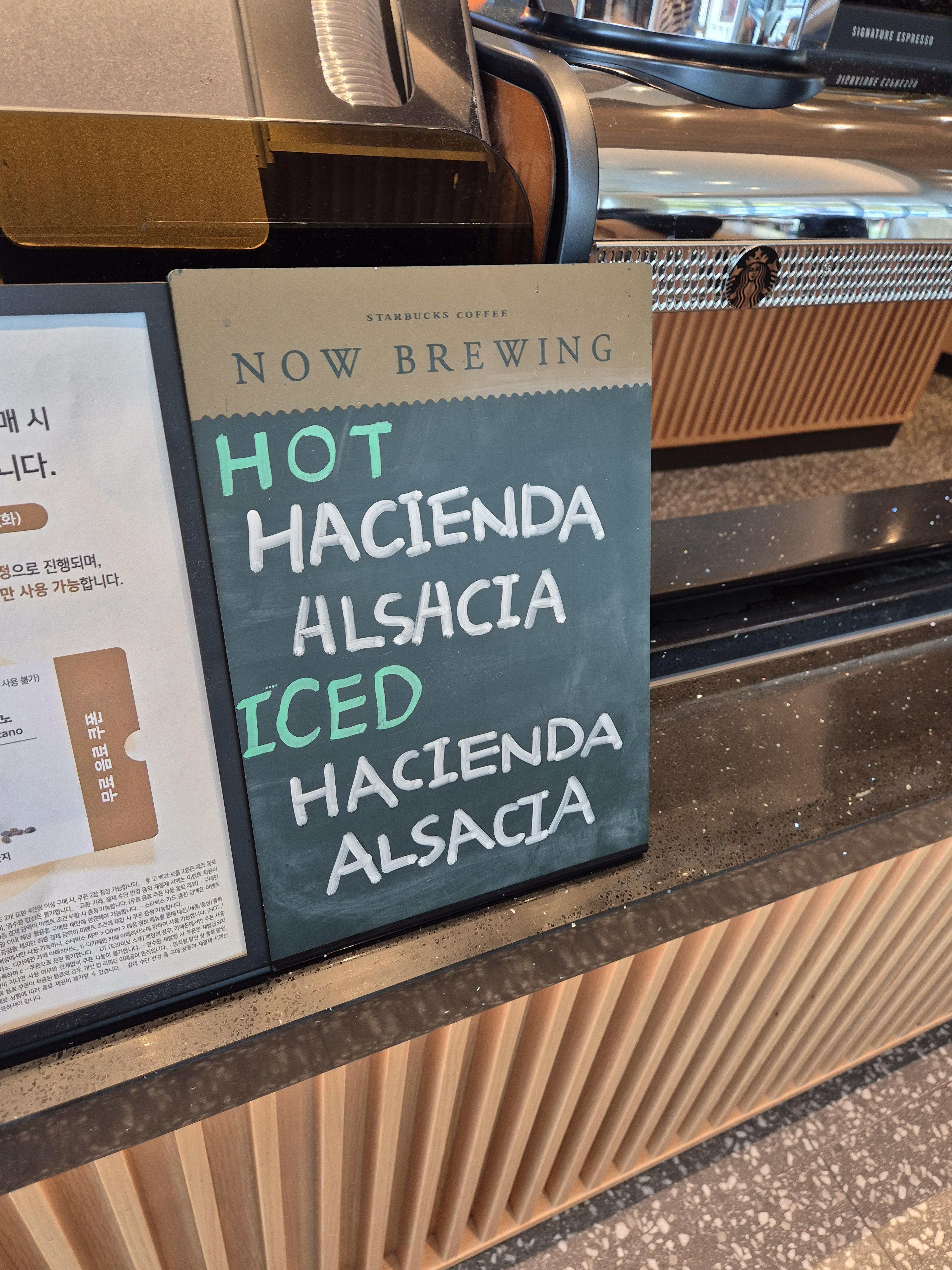 관저동 스타벅스 원두