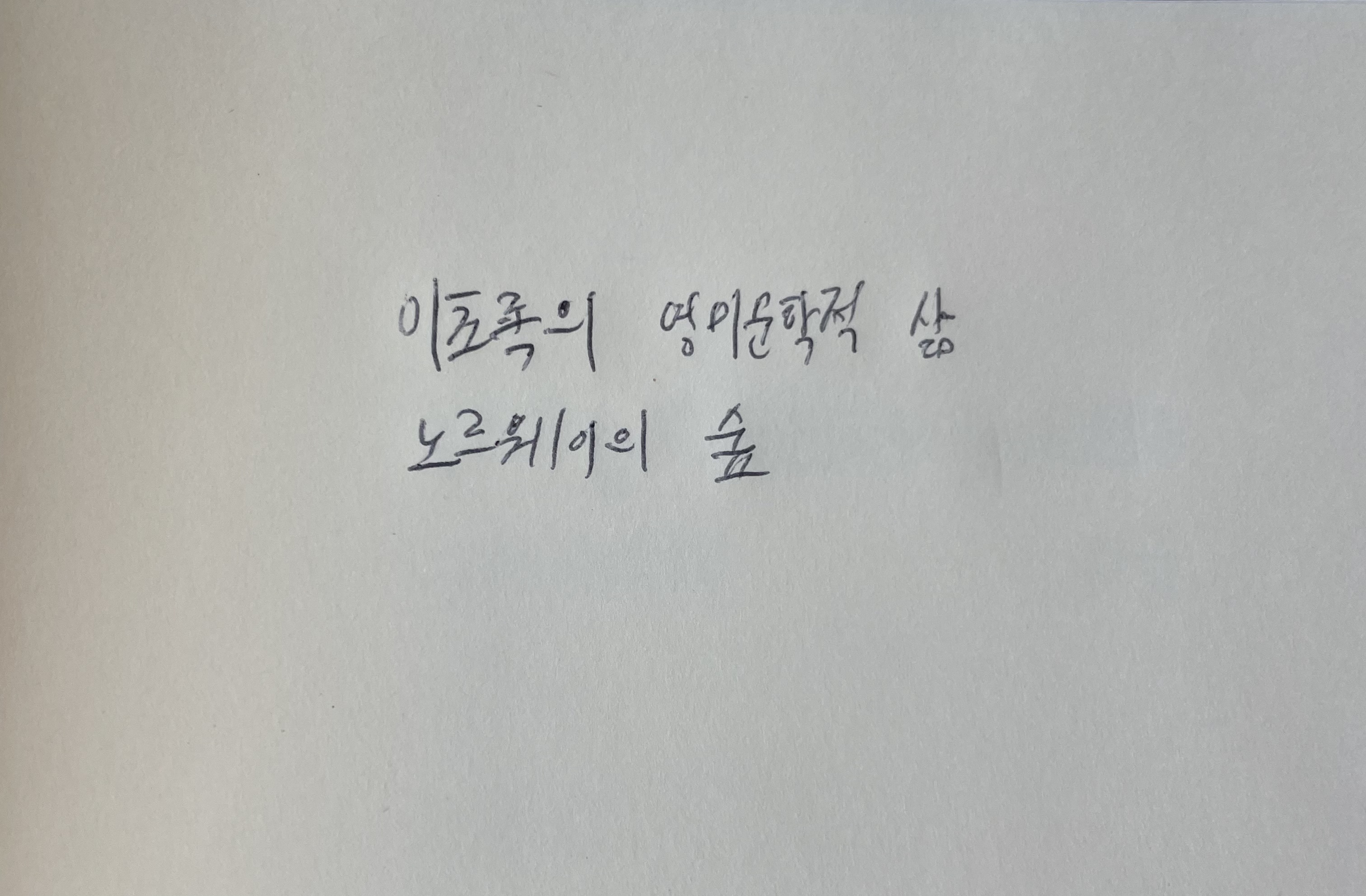 이초록의 영미문학적 삶- 노르웨이의 숲 무라카미 하루키 손글씨