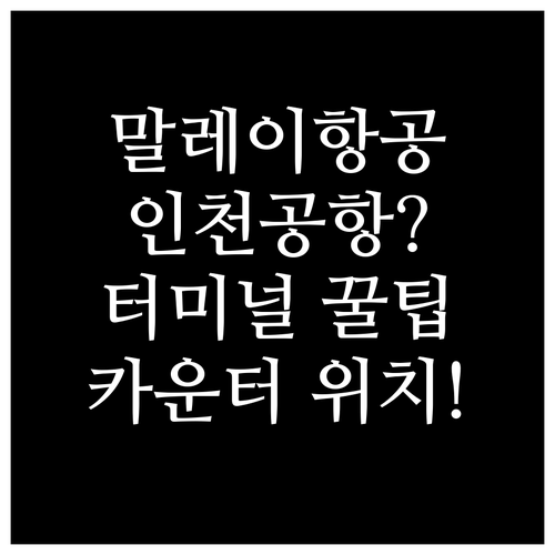 말레이시아항공 인천공항 터미널 및 카..