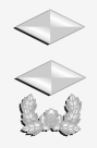 중위