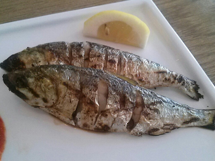 고진 제철 음식 추천 관련 사진