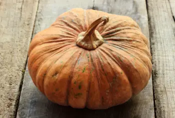 가을 제철 음식 늙은 호박 효능 및 영양성분