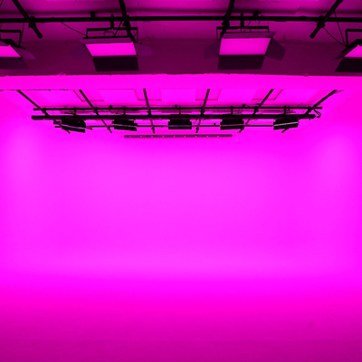 비콘스튜디오 / RGB / 호리존스튜디오 / RGB 조명