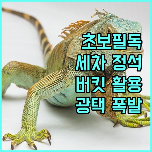 초보자를 위한 버킷 세차 완벽 마스터