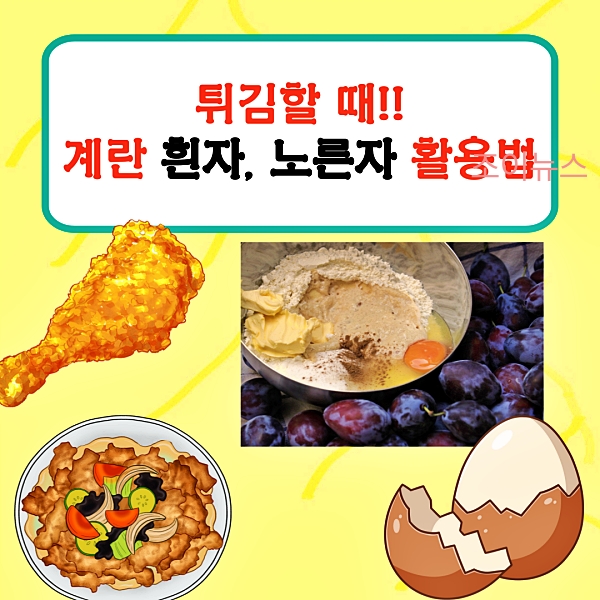 계란 흰자, 노른자 요리의 구분과 활용