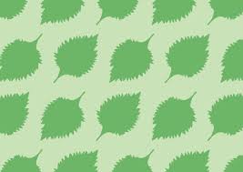 들깨 파종 시기