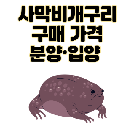 사막비개구리 가격·분양·입양 방법 총정리, 이대로만 하세요