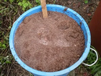 액비 희석비율 주기맞추기 잎색개선 안전한 급수 방법_7