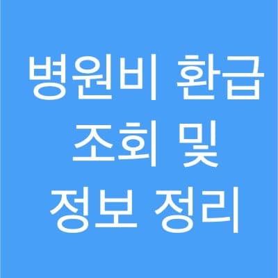 본인부담 상한제 (병원비 환급금 조회 방법 총 정리)
