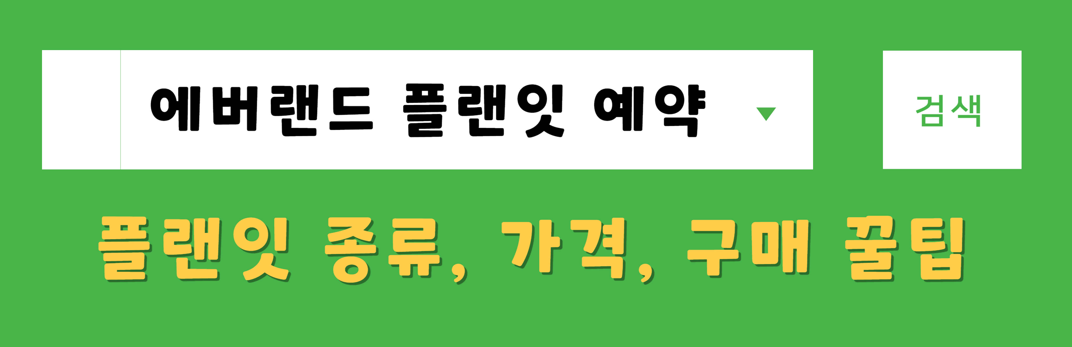 에버랜드 플랜잇 구매
