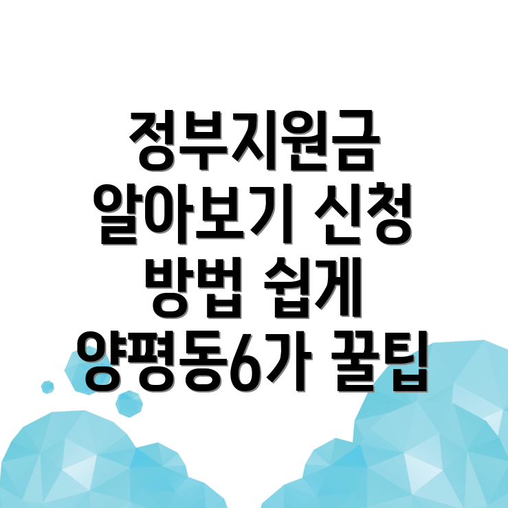 정부지원금