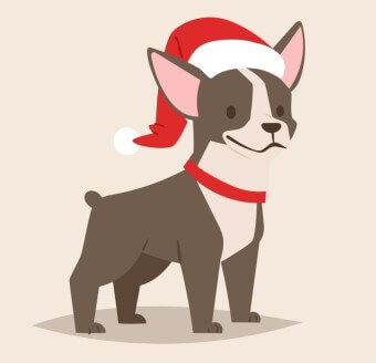 개띠생의 성격-개띠를 알아보자-우리의 롤모델