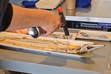 갈치토치구이