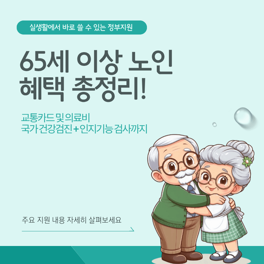 65세 이상 노인 혜택