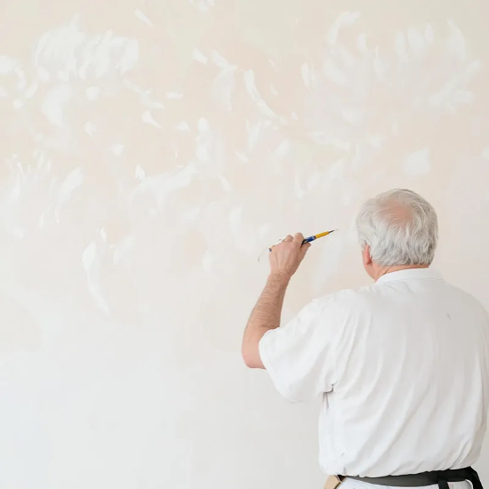 시니어 뜻 : 20세기 후반2