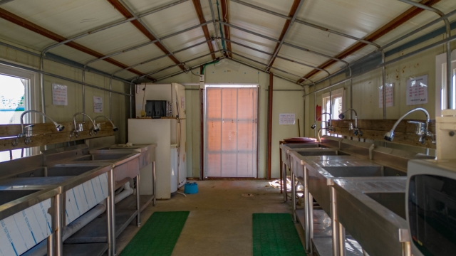 가평 : 밤나무숲 캠핑장 (애견동반가능)