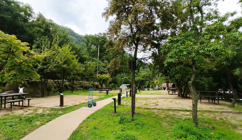 B구역 전경 나무가 크지 않아 그늘이 없다