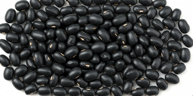 매일 먹은 검은콩, 갱년기 탈모 증상이 달라졌어요