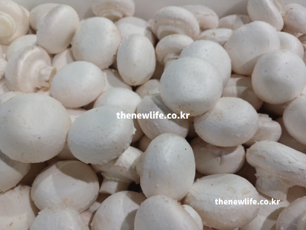 양송이버섯 효능의 식이섬유와 저칼로리 특성이 체중 조절에 도움을 주는 실물 사진