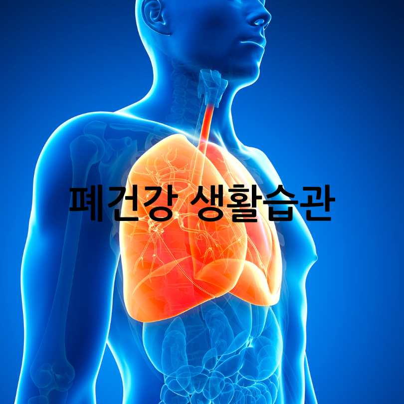 폐에 좋은 영양제