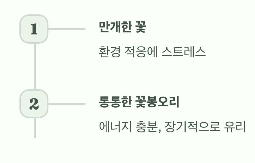 꽃봉오리, 욕심은 금물