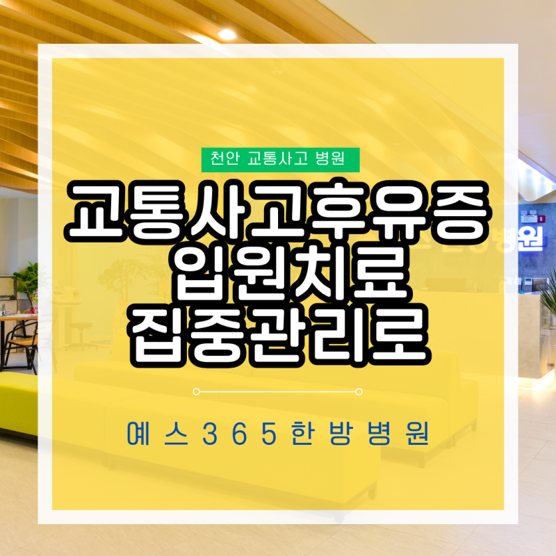 천안 교통 사고 병원