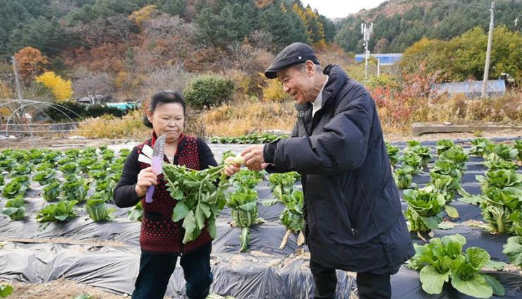 무-밭에-있는-두-사람