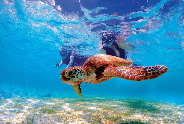 일본 후쿠오카 6월 날씨와 연간 계절별 날씨 가이드 