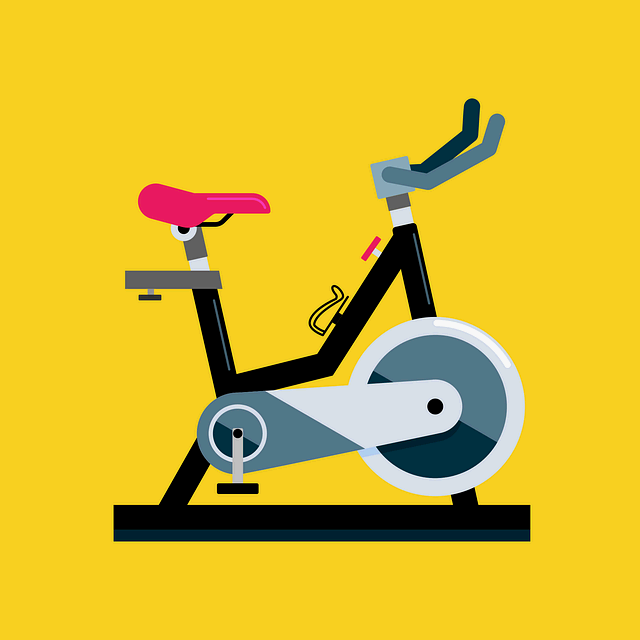 최신 스포츠 트렌드와 운동 장비의 혁신