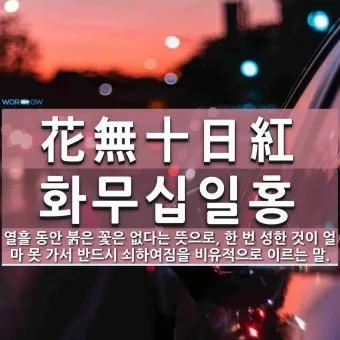 화무십일홍 뜻과 화무십일홍 권불십년 花無十日紅 자료집_3